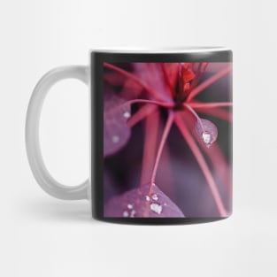 Royal Purple Smoke Bush Mug